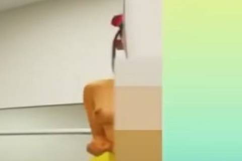 2195